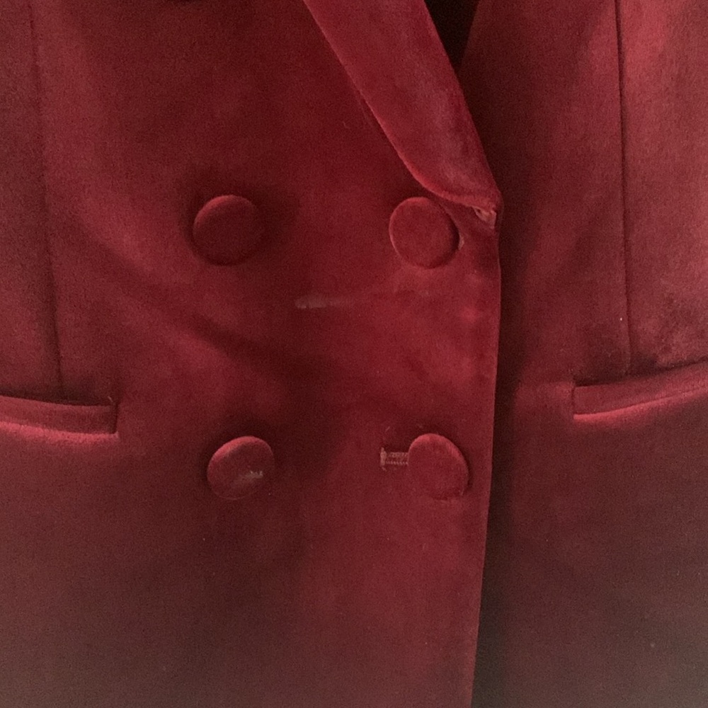 Express Red Velvet Blazer - Picture 4 of 4